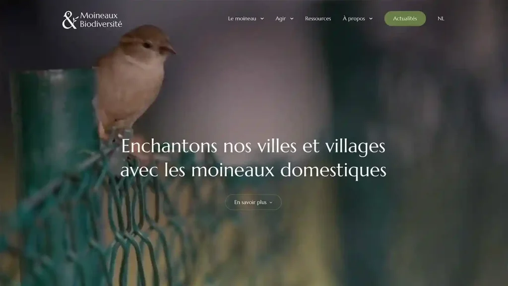 Moineaux & Biodiversité